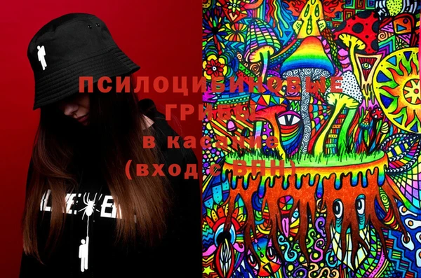 тгк Медвежьегорск