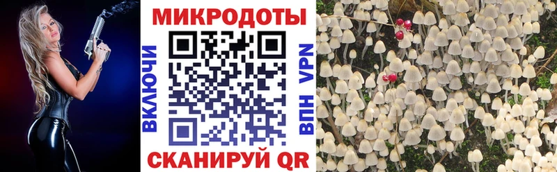 Купить где  Шагонар  Галлюциногенные грибы Cubensis 